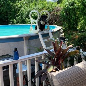 Meet your Posher, Charlie